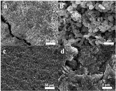 Bacillus subtilis Inhibits Vibrio natriegens-Induced Corrosion via Biomineralization in Seawater